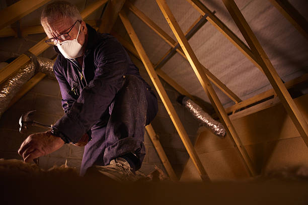 Best Geographic-Specific Insulation Services in Shelburn, IN
